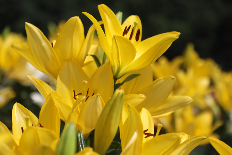 bda06f71739efc36a0ba477549d390e4.png bda06f71739efc36a0ba477549d390e4.png