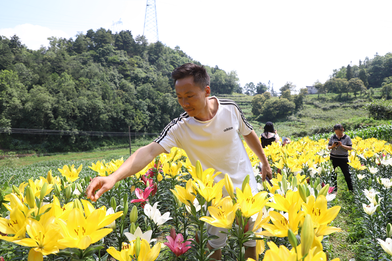 c4871b04e9aa2fb2a6f04131d7bf15e3.png c4871b04e9aa2fb2a6f04131d7bf15e3.png