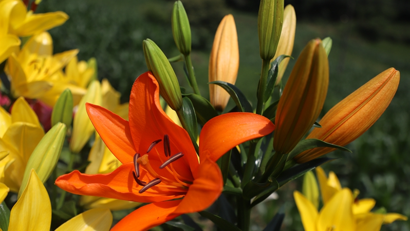 a8d5f74b1b279ae1c0225d3e5b047b89.png a8d5f74b1b279ae1c0225d3e5b047b89.png