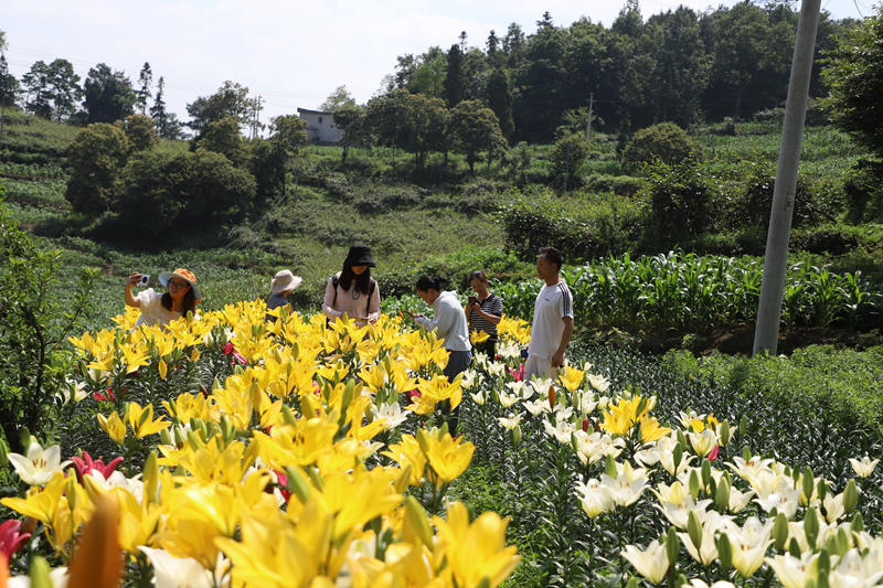 e1fd202ad38c378e67b039209295e5d8.png e1fd202ad38c378e67b039209295e5d8.png