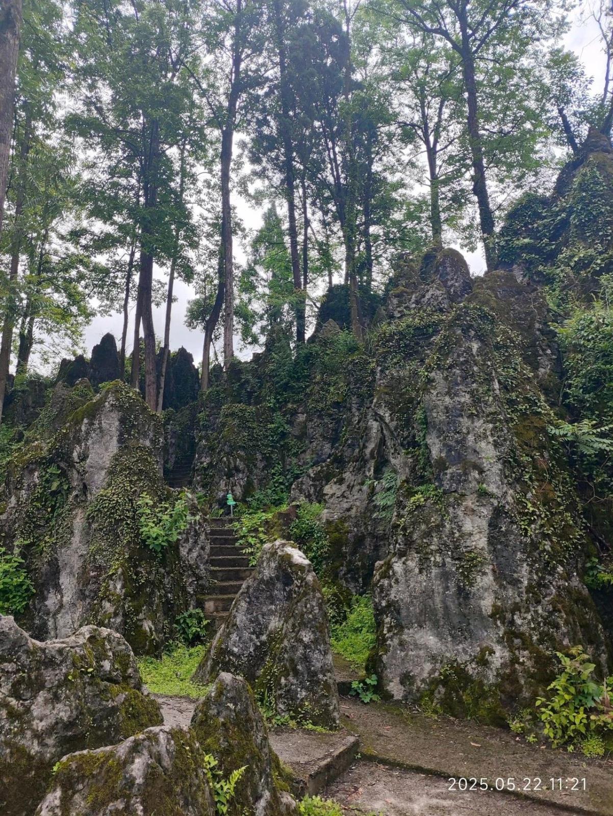 e3e31208f48a671cd13fca69f1683b54.jpg e3e31208f48a671cd13fca69f1683b54.jpg