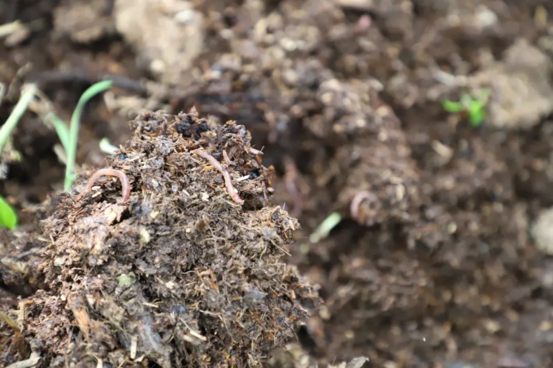 f5c8a6475ead7ec62c8735b45a2b859b.jpg f5c8a6475ead7ec62c8735b45a2b859b.jpg