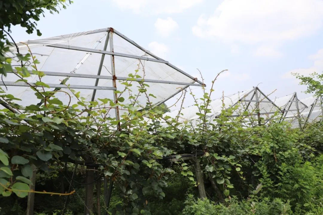 20fb03cd90a05de38e679af94d2855ba.jpg 20fb03cd90a05de38e679af94d2855ba.jpg