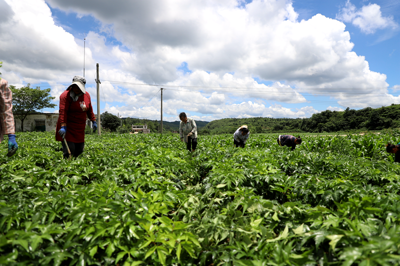 d45768d58121c052471877cb86f16457.png d45768d58121c052471877cb86f16457.png