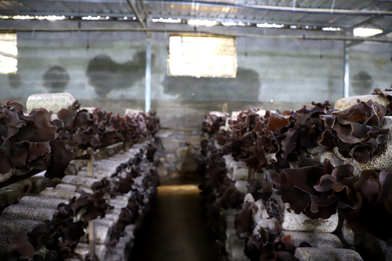 4e389fe2958fcf856492f6c2e47dddab.png 4e389fe2958fcf856492f6c2e47dddab.png