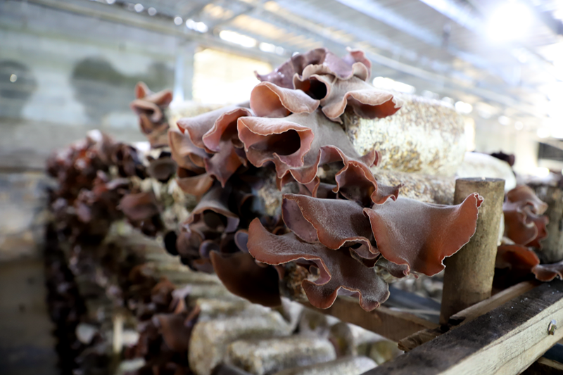 3cde91df66960f01a03efd2e5b6a8f23.png 3cde91df66960f01a03efd2e5b6a8f23.png