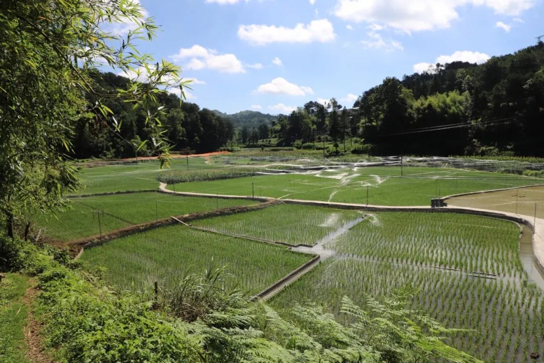 32692fec3624c4cf0453b7cb8735934c.jpg 32692fec3624c4cf0453b7cb8735934c.jpg