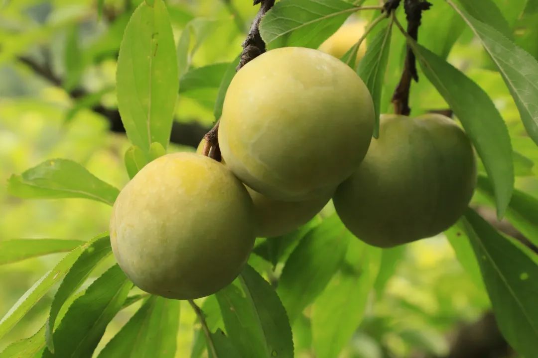 04dc75c5b532461d29d555e0be984728.jpg 04dc75c5b532461d29d555e0be984728.jpg