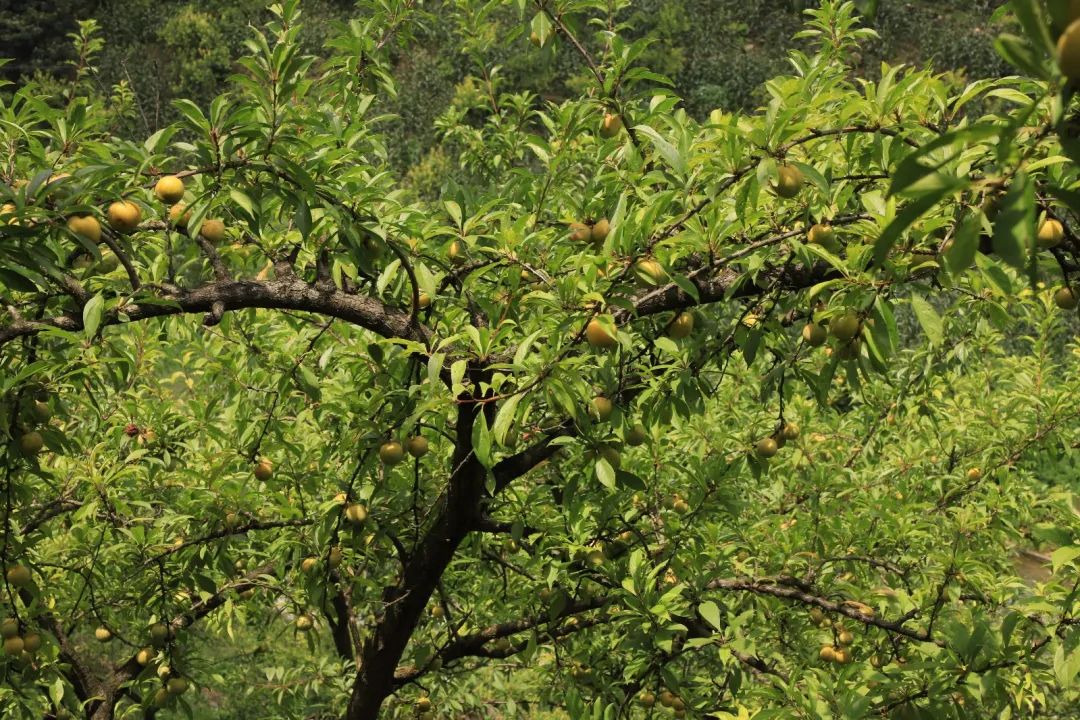 884b5022a673721b2fe9d3f6198012f3.jpg 884b5022a673721b2fe9d3f6198012f3.jpg