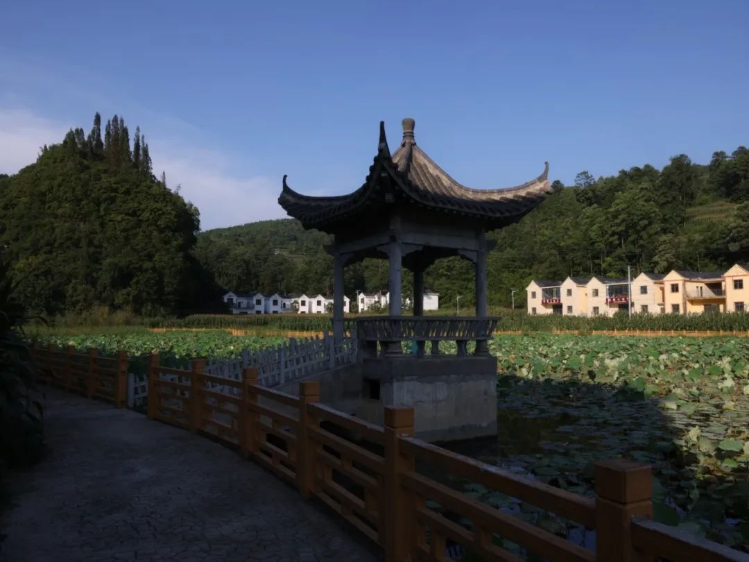 9533b17a17cdf348e2e8767aa73b9dcd.jpg 9533b17a17cdf348e2e8767aa73b9dcd.jpg