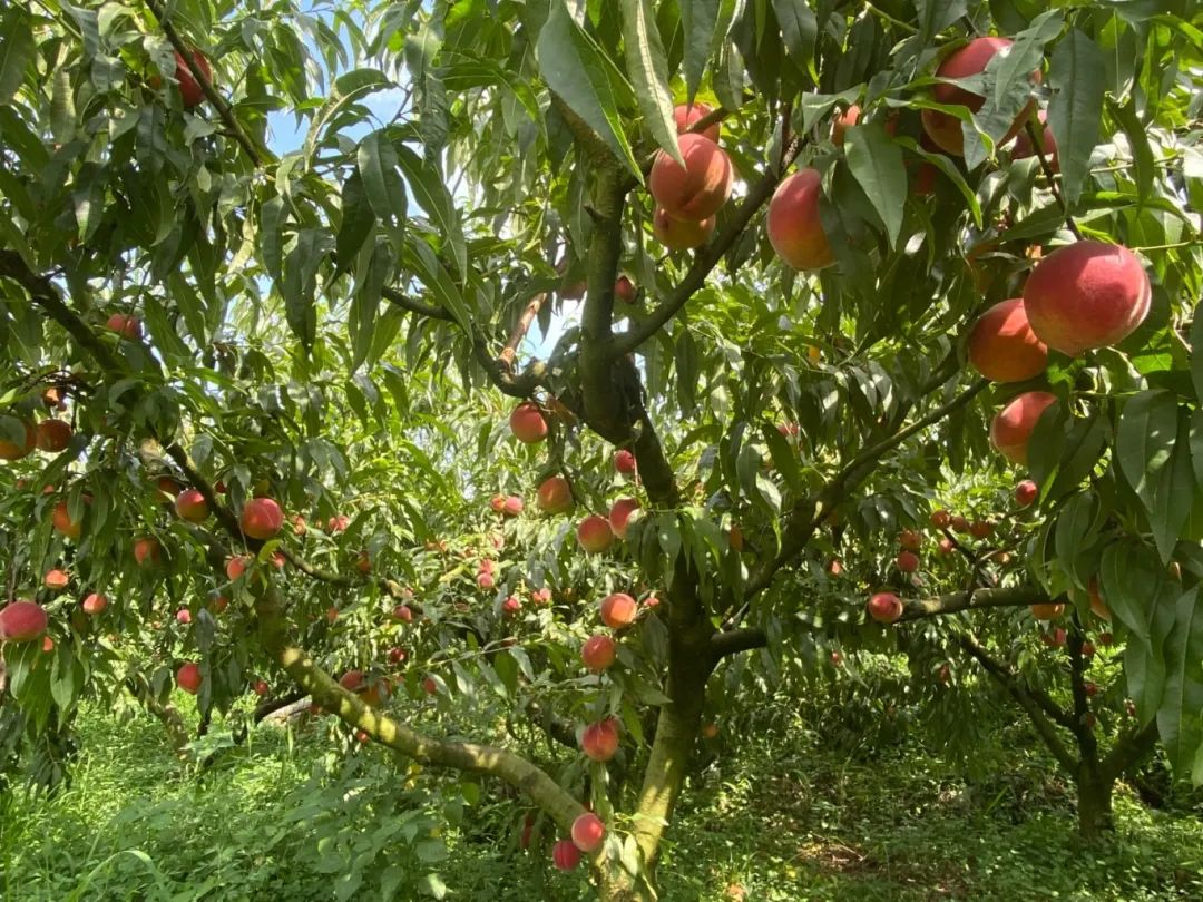 eaf3cc2e4bf32ee4b8e4cae515e4669a.jpg eaf3cc2e4bf32ee4b8e4cae515e4669a.jpg