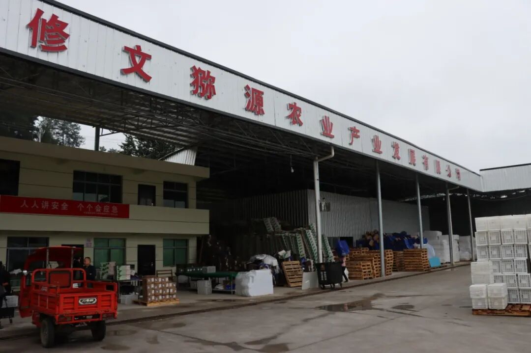 d848839cfb15884cc0986048133b8bd1.jpg d848839cfb15884cc0986048133b8bd1.jpg