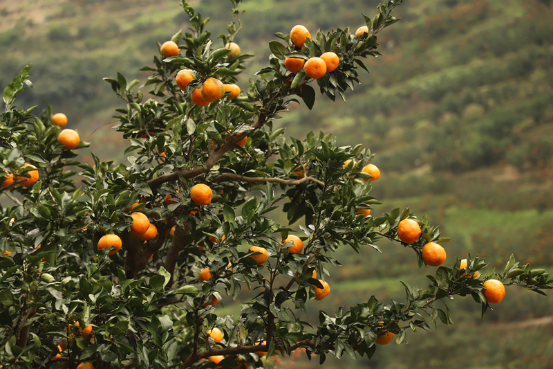 6d507e1242facb849e53f1dfad4ec38c.png 6d507e1242facb849e53f1dfad4ec38c.png